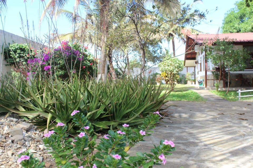 Pensao Residencial Reggio Emilia Đảo Pemba Ngoại thất bức ảnh